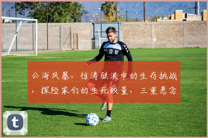 公海风暴，惊涛骇浪中的生存挑战，探险家们的生死较量，三重悬念，不容错过